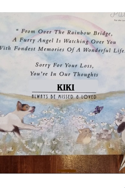 Silky, my Kiki