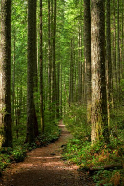 Drifting in a New World