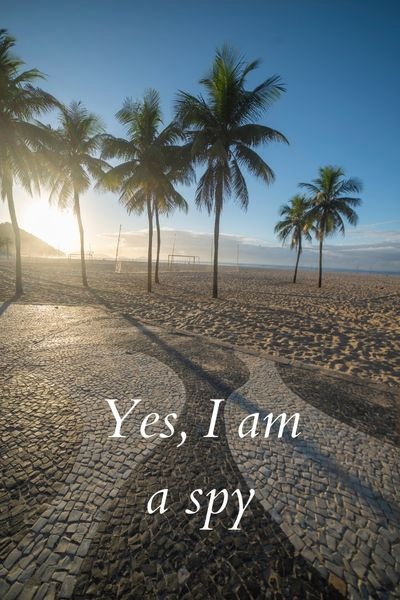 Yes, I am a Spy