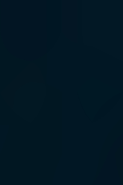 DRAGON BALL: LEGACY REBORN