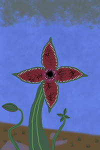 Venus