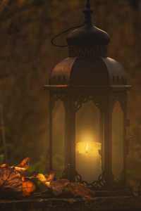 The Midnight Apothecary