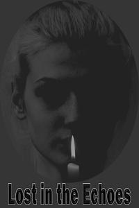 Lost in the Echoes