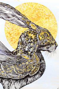 That Boy Hare [On Hiatus]