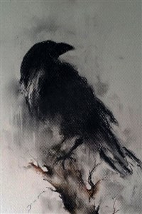 The Corvus Saga : The Recluse King  (Minor Hiatus)