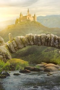 Kingdom