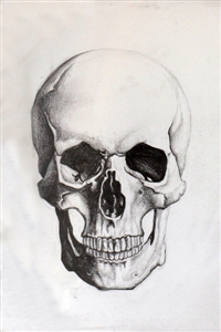 Skeleton