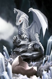 Dragon Guardian