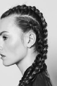 Chronicles of Genticus: Invasion of the North