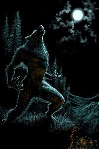 Bright Night Online