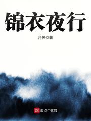 Jinyi Night Tour