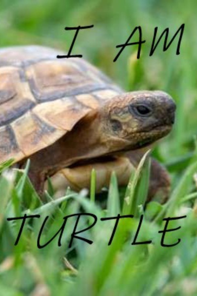 I Am Turtle