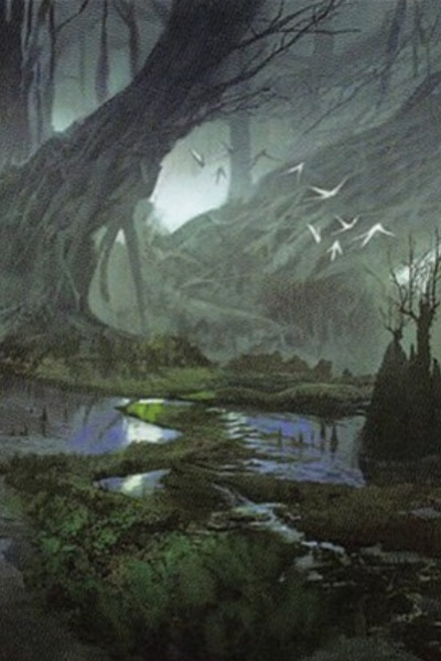 A River Meant to be Drowned