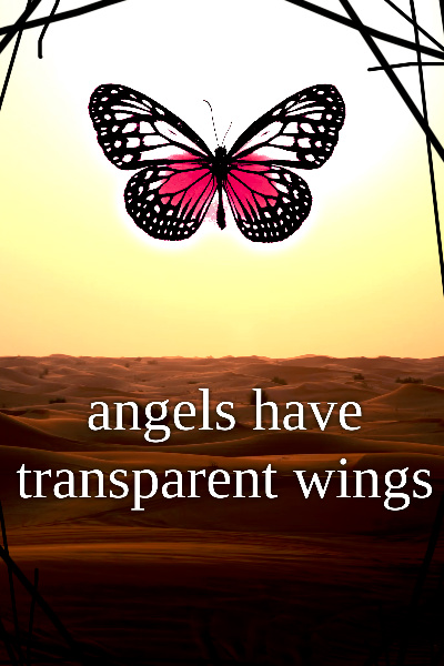 Angels Have Transparent Wings